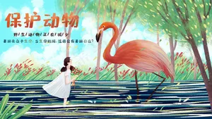 保护动物之人鸟共家园风景