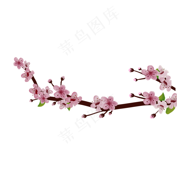 粉色的桃花手绘插画,免抠元素