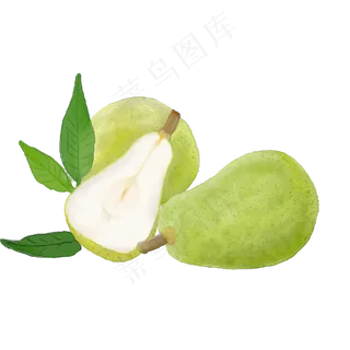 手绘水彩风水果雪梨