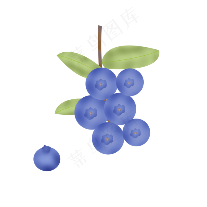 蓝莓(2000X2000(DPI:300))psd模版下载