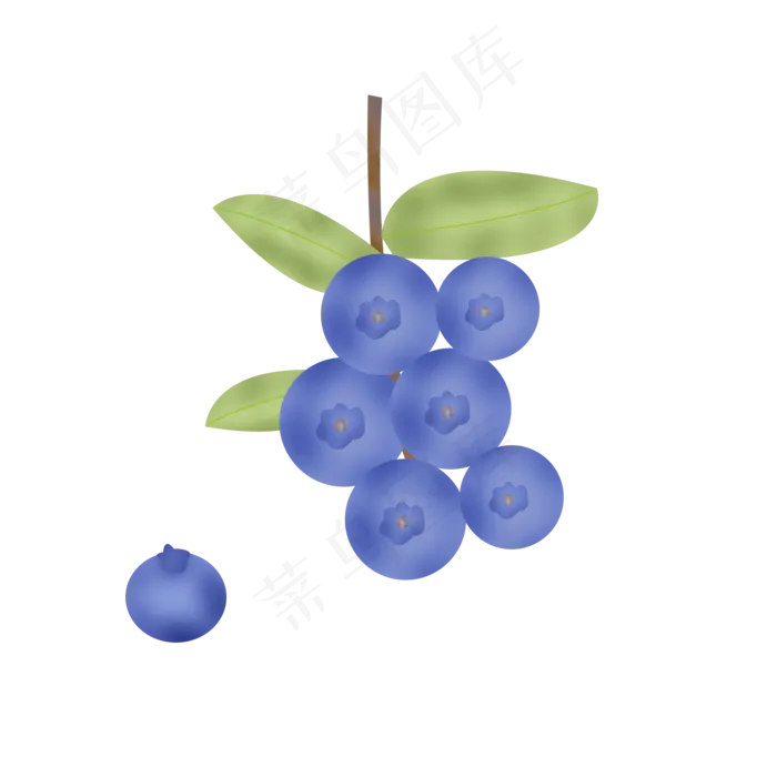 蓝莓(2000X2000(DPI:300))psd模版下载