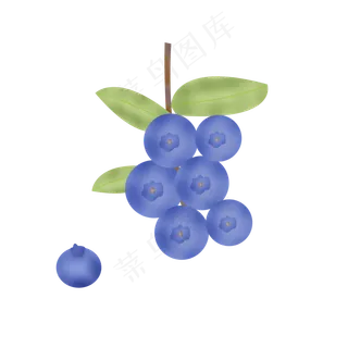 蓝莓