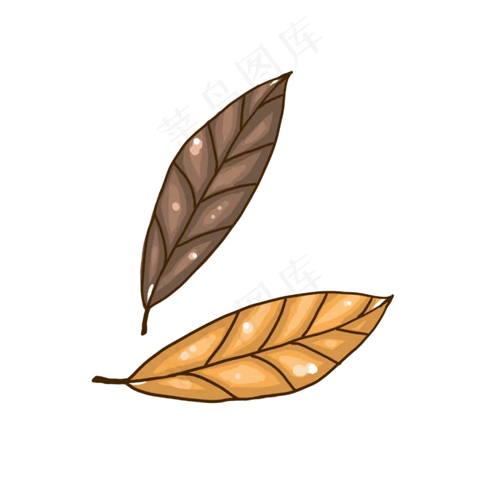 叶子植物简笔画小清新(3000X3000(DPI:300))psd模版下载