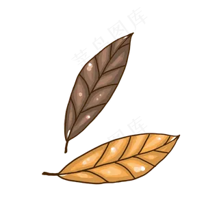 叶子植物简笔画小清新