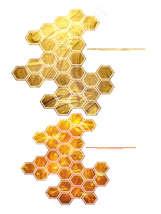 金箔黄金蜂巢六边形未来自然边框,免抠元素