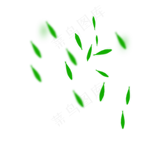 飘落下来的绿色的柳叶