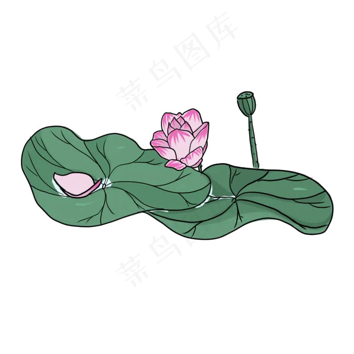 手绘中国风荷花PNG素材(2000X2000(DPI:300))psd模版下载