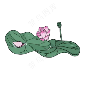 手绘中国风荷花PNG素材