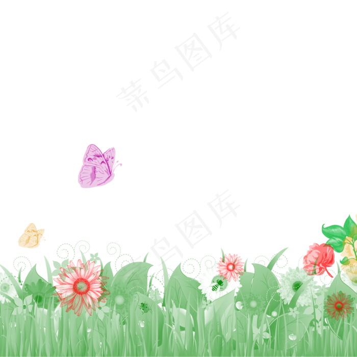 草地花卉草原野花