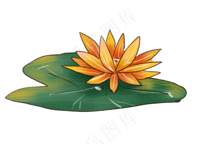 漂浮荷花植物(2821X2000(DPI:300))psd模版下载