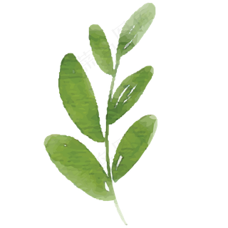 手绘弯树枝叶子免抠