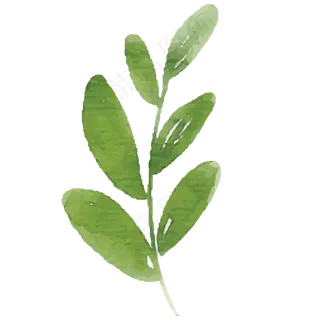 手绘弯树枝叶子免抠