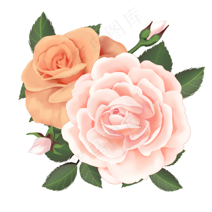 粉黄色玫瑰花(2000X2000(DPI:300))psd模版下载