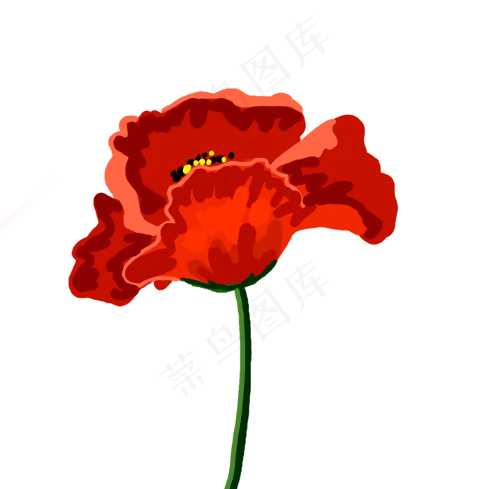 一朵红色罂粟花(2500X2500(DPI:300))psd模版下载
