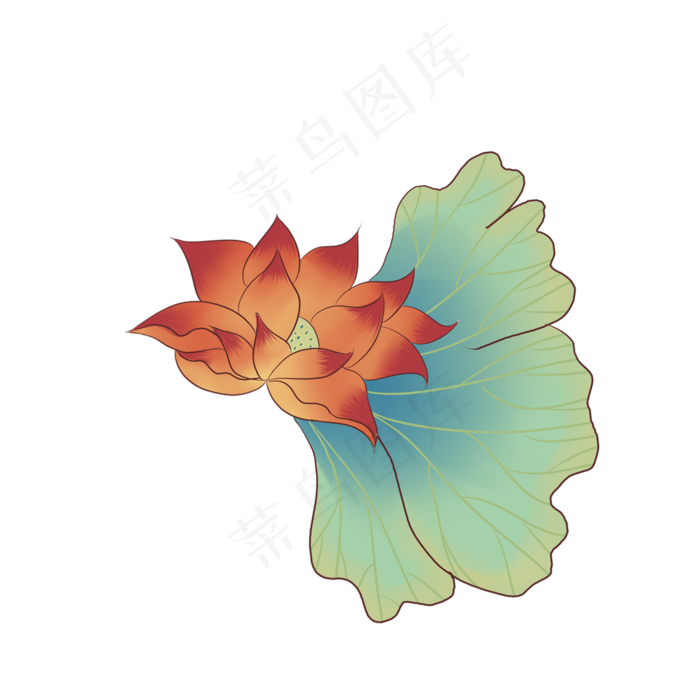 红色的荷花免抠图(2000X2000(DPI:300))psd模版下载