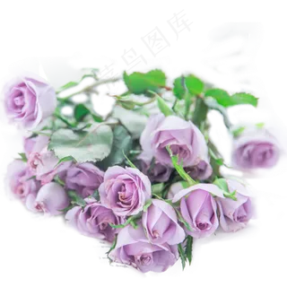 亮调520鲜花氛围场景