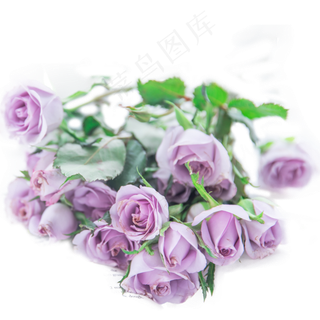 亮调520鲜花氛围场景