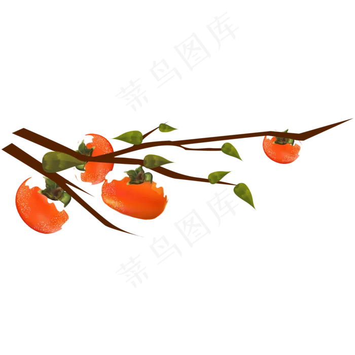 立冬霜降水果柿子(2000*2000px 300 dpi )ai矢量模版下载