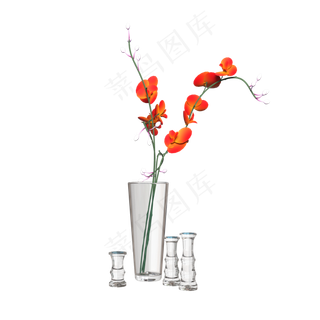 玻璃水杯插红色花