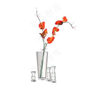 玻璃水杯插红色花