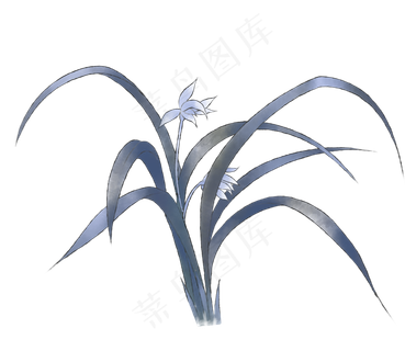 中国风水墨兰花