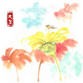 大暑黄色花卉与昆虫