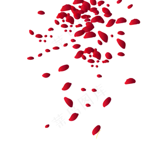 洒落的花瓣 洒落的花瓣