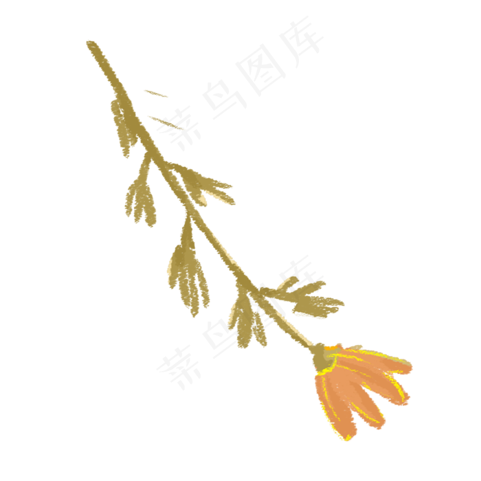 一棵半开的小菊花(2000X2000(DPI:300))psd模版下载