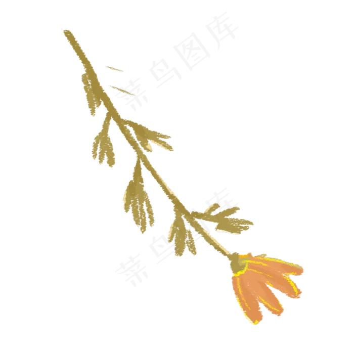 一棵半开的小菊花(2000X2000(DPI:300))psd模版下载