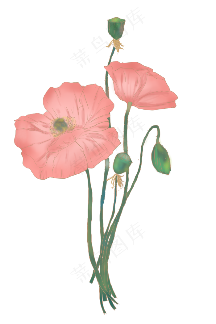 古风复古鎏金花卉简单罂粟花