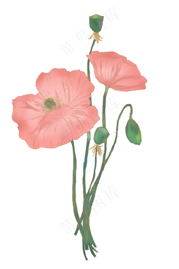 古风复古鎏金花卉简单罂粟花(3545X5315(DPI:300))psd模版下载