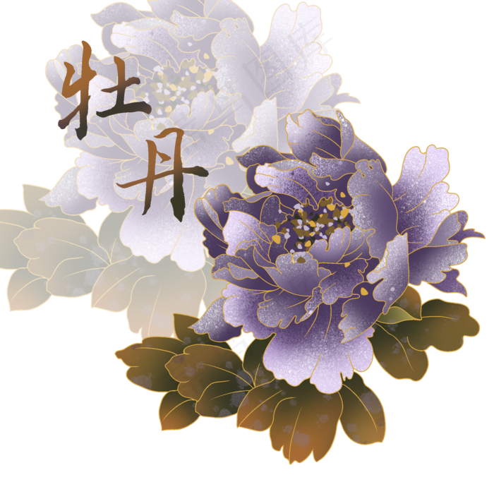 富贵牡丹花,免抠元素(2000*2000px 300 dpi )psd模版下载