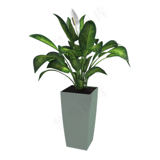 家居装饰摆设盆栽