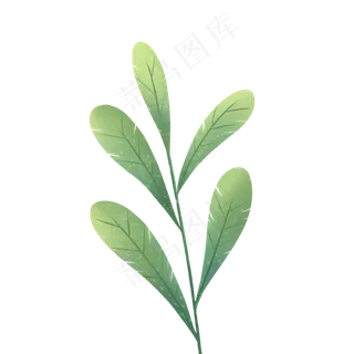 手绘自然树叶绿色植物叶子,免抠元素