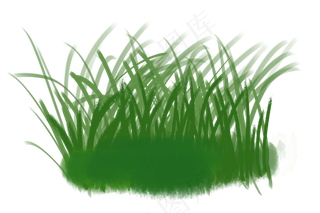 春天里的一簇绿色草丛