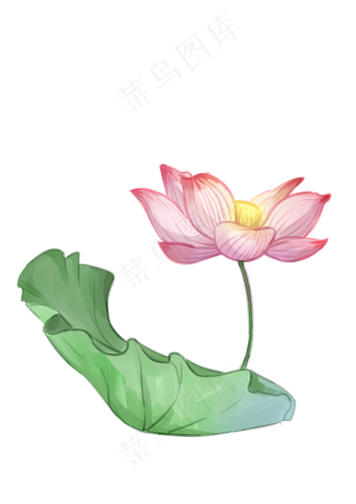手绘夏日荷花PNG下载(2480X3508(DPI:300))psd模版下载