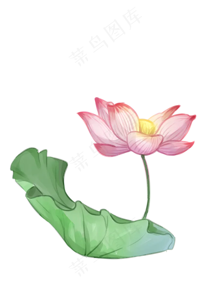手绘夏日荷花PNG下载(2480X3508(DPI:300))psd模版下载