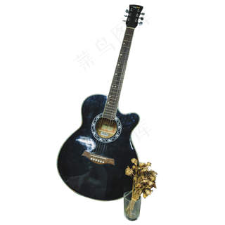 实拍演唱弹奏黑色吉他干花搭配