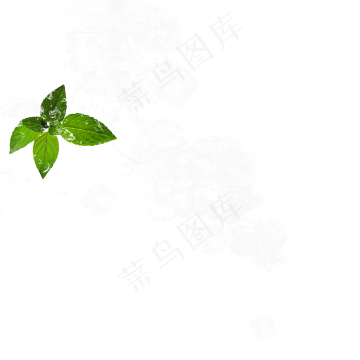 冰块包裹绿叶元素,免抠元素