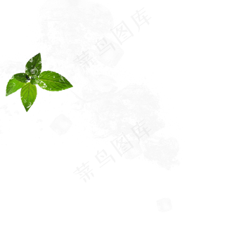 冰块包裹绿叶元素,免抠元素