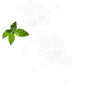 冰块包裹绿叶元素,免抠元素