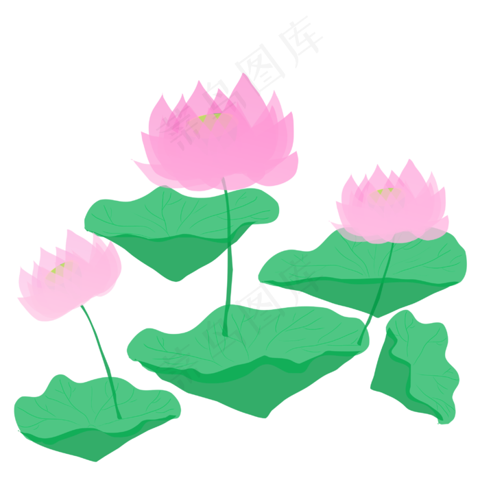 夏日清新半透明粉嫩荷花荷叶PN(3000X3000(DPI:300))psd模版下载