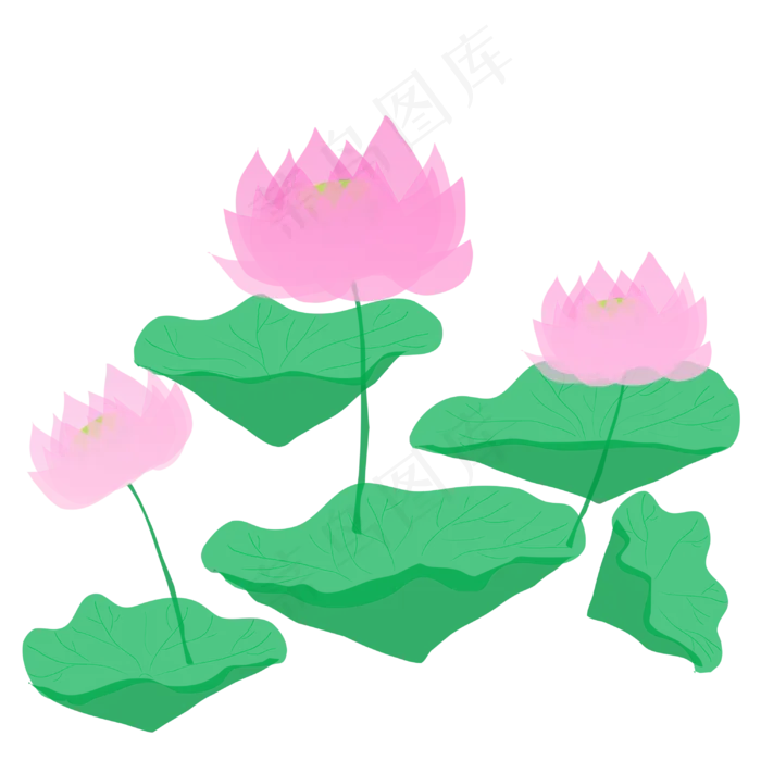 夏日清新半透明粉嫩荷花荷叶PN(3000X3000(DPI:300))psd模版下载