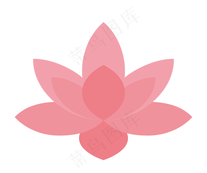 粉色荷花植物装饰