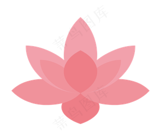 粉色荷花植物装饰