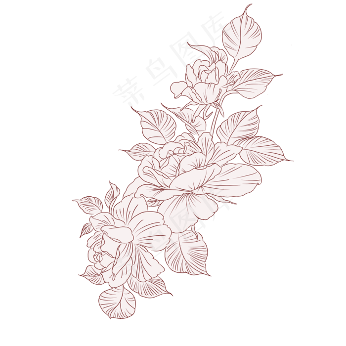 植物花草两朵花线稿(2000X2000(DPI:300))psd模版下载