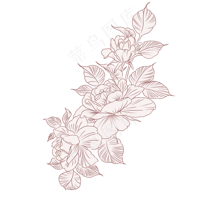 植物花草两朵花线稿(2000X2000(DPI:300))psd模版下载
