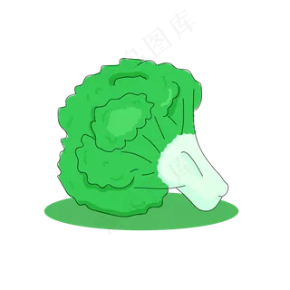 处暑蔬菜西兰花