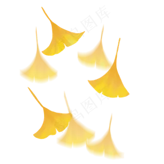 秋季黄色落叶,免抠元素