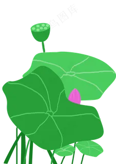 夏至池塘荷叶手绘PNG素材